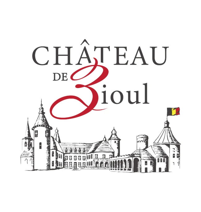 Chateau de Bioul logo color castle